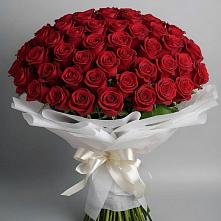 Букет 101 Красная роза Блэк Мэджик в Колодкино