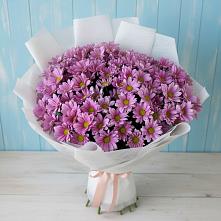 Букет цветов из:  Хризантемы #REPLACE_PRED# Колодкино