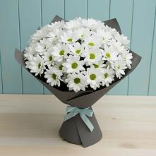 Букет цветов из:  Хризантемы #REPLACE_PRED# Колодкино