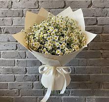 Букет цветов из:  Ромашки в Колодкино