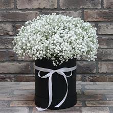 Цветочная композиция из Гипсофила в шляпной коробке в Колодкино