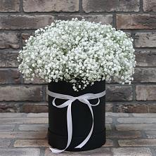 Цветочная композиция из Гипсофила в шляпной коробке в Колодкино