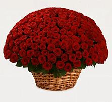 Премиум букет из: Розы #REPLACE_PRED# Колодкино